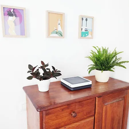 Fico Living Apartment Las Palmas de Gran Canaria