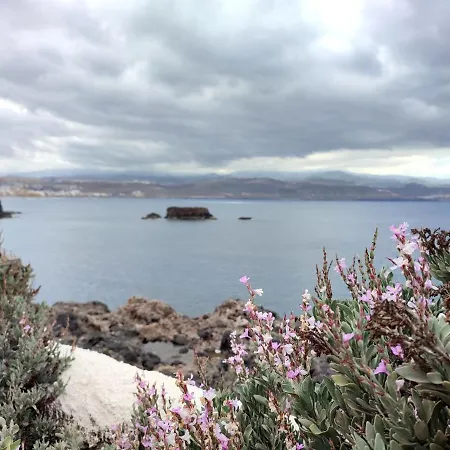 Fico Living Las Palmas de Gran Canaria